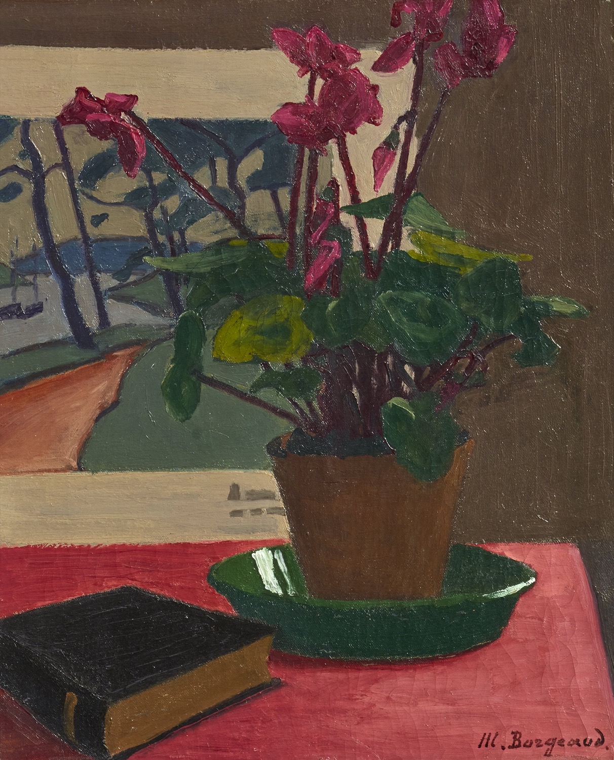 Cyclamens